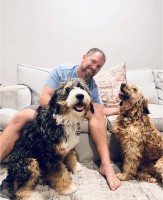 Upcoming Litter! F1b Mini Bernedoodles Bernese Mountain Dog for sale/adoption