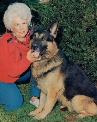 German Shepherd Babies. Big, Impressive Pups.