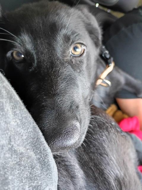 Say hello to Cagney