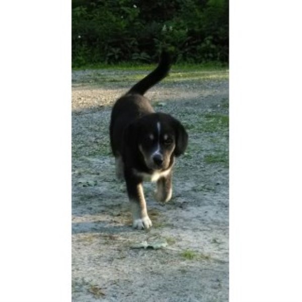 Vicki Munson - Country Oaks