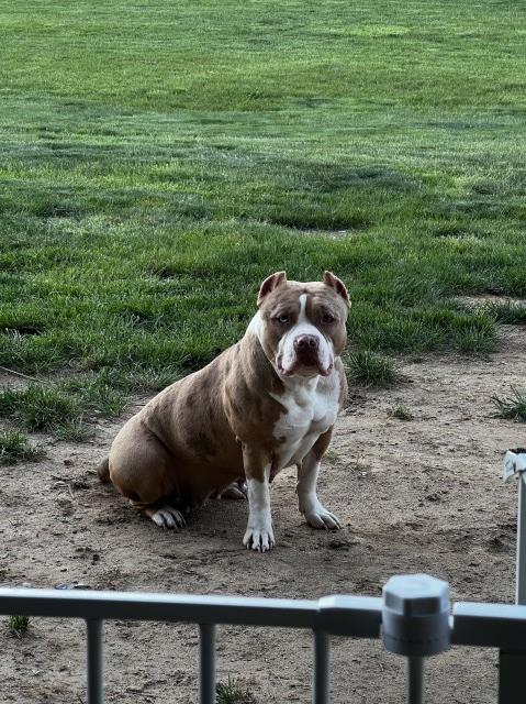 Our keeper Bully is up for grabs !