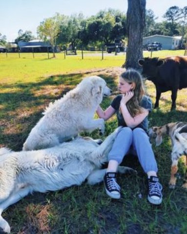 Great White Pyrenees Puppies (Reserve Now!)