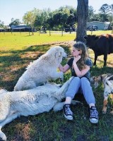 Great White Pyrenees Puppies (Reserve Now!) Great Pyrenees for sale/adoption