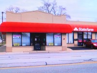 Chicago Rat Terrier Type Baby BOYS. Super Cute!!! Rat Terrier for sale/adoption