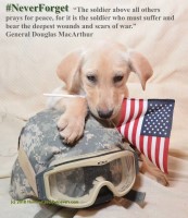 ????AKC CHAMPION LABRADOR RETRIEVER PUPS: TRAINED for YOUR FAMILY?? ?? (TRAINED PUPPIES) Labrador Retriever for sale/adoption