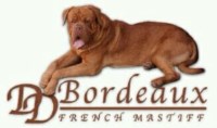 Black mask and red mask dogue de bordeaux puppies Dogue De Bordeaux for sale/adoption