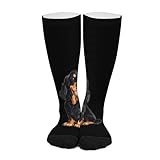 Gordon Setter Dog Novelty Socks Ankle Crew Sock Tube Calf Stockings for Women Men 46cm