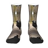 Trotting Flat Coated Retrievers Paw Sports And Casual Socks,Comfortable And Fashionable,Perfect For Running & Daily Wear
