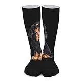 Gordon Setter Dog Novelty Socks Ankle Crew Sock Tube Calf Stockings for Women Men 40cm