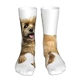 Peynir Men'S Women'S Socks Fashion Tube Crew Socks Cute Cairn Terrier Dog Casual Socks Sports Long Socks 16 Inch