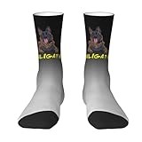 Haebfsl Funny Graphic Socks Maligator - Malinois Belgian Shepherd Crew Socks For Women Men Athletic Socks For Sports