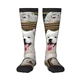 Xsovgoi Samoyed Dog Unisex-Adult Over The Calf Socks Custom Long Stocking Socks For Men Women