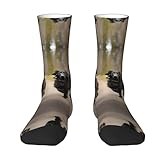 Trotting Flat Coated Retrievers Paw Sports And Casual Socks,Comfortable And Fashionable,Perfect For Running & Daily Wear