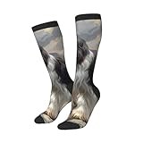 Bearded Collie Funny Socks Crazy Socks,Soft & Breathable Fun Socks For Men & Women