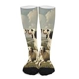 Three English Setters Dogs Novelty Socks for Men And Women Knee High Athletic Stocking Casual Tube Sock