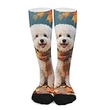 Huryilo Fall Bichon Frise Dog Mens Crew Socks Mens Dress Socks Calf Socks