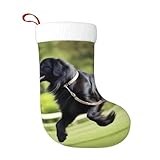 DLXW Trotting Flat Coated Retrievers Paw Prints Christmas Decorative Stocking Socks Soft, lightweight, with a good tactile sensation for Halloween and New Year