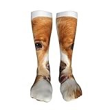 Dbdymg Nova Scotia Duck Tolling Retriever Classic Casual Long Socks 20in, Men'S And Women'S Athletic Long Socks, Novelty Long Leg Socks, Tall Socks.