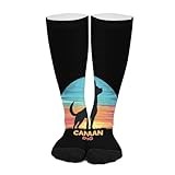 Vintage Canaan Dog Novelty Socks Ankle Crew Sock Tube Calf Stockings for Women Men 46cm