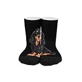Gordon Setter Dog Novelty Socks Ankle Crew Sock Tube Calf Stockings for Women Men 30cm