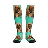 Afghan hound Lower Leg High Tubular Socks Warm Long Cylinder Stockings A Pair Length Tube Socks