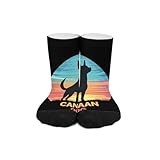 Vintage Canaan Dog Novelty Socks Ankle Crew Sock Tube Calf Stockings for Women Men 30cm