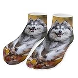 Pomsky Dog Mini Husky Mixed 1 Pairs Ankle Socks Low-Cut Non Slip Athletic Running Flat Sock for Men And Women