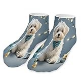 QMKFWT Lovely Maltese Dog Socks Low Cut Ankle Short Sock Novelty Casual Invisible Liner Socks for Men Women