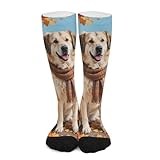 Huryilo Autumn Anatolian Shepherd Dog Socks Pumpkins Autumn Leaves Crew Socks for Men Women Unisex