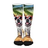 iiceop Summer Bullmastiff Dog Crew Socks for Men Womens Socks for Soccer Running Hiking