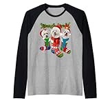 Coton de Tulear In Christmas Socks Raglan Baseball Tee