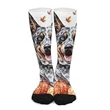 iiceop Cute Australian Cattle Dog Fall Crew Socks for Men Womens Socks for Soccer Running Hiking