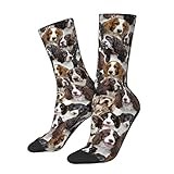 English Springer Spaniel Socks for Women Men - Cute Puppy Crew Socks - Unisex Socks Gift for Dog Lover, Mom