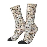 Akita Lover Crew Socks for Women Men, Unisex Socks for Women Men, Akita Gift for Dog Groomer/Mom/Owner