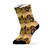 Spaniel at Yellow Sunflowers Field against Sundown Sunset Light Unisex Long Casual Socks Athletic Crew Socks for Women Men