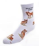 Shiba Inu Dog Adult Poses Socks v.2,White,Medium