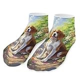 English Foxhound Ankle Socks for Men Women Breathable Low Cut Athletic No Show Short Socks