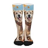 Huryilo Fall Anatolian Shepherd Dog Crew Socks for Men Pumpkins Leaves Mens Socks