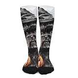 iiceop Halloween Affenpinscher Dog Crew Socks for Men Women Casual Socks for Soccer Running Hiking