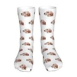 AMZJHGWEU English Setter Dog Casual Calf Socks for Men's and Women's Soft Comfortable Winter Warm