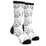 AIMASTZ Cute Goldendoodle Unisex Funny Novelty Socks, Funky Crazy Cool Crew Dress Socks