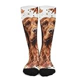 iiceop Autumn Irish Setter Dog Crew Socks for Men Women Socks for Hiking Sports Running
