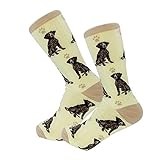 E&S Imports Pet Lover Socks - All Season - One Size Fits Most - for Women and Men – Dog Gifts (German Shorthair Pointer)
