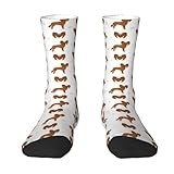 Funny Novelty Socks Russian Toy Terrier Dog Hiking Crew Sock