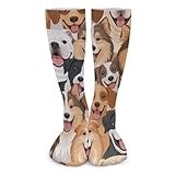 FOSKERV Winter Thick Socks, Adult Unisex Warm Stretch Comfy Socks for Cold Weather, Comfort Reusable Stocking for Outdoor Indoor, Husky Golden Retriever Tibetan Mastiff Dog Painting