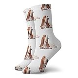 Basset Hound Dog Performance Running Socks Comfort Sox Light Bobbysocks Sox