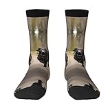Trotting Flat Coated Retrievers Paw Sports And Casual Socks,Comfortable And Fashionable,Perfect For Running & Daily Wear