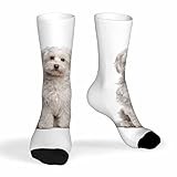 Pehede Socks Cute Dog Athletic Crew Socks Maltese Fur Canine Domestic Animal White Purebred Mammal Portrait for Men Women Cool Cute Crazy Funny Sport Colorful Novelty Socks