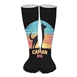 Vintage Canaan Dog Novelty Socks Ankle Crew Sock Tube Calf Stockings for Women Men 40cm