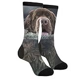 Newfoundland Underwater Dogs Funny Animals Unisex Adult Fun Cool 3D Print Colorful Athletic Sport Novelty Crew Tube Socks